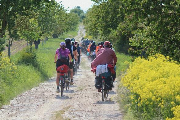 Foto von fahradfahrenden Menschen auf einem staubigen Kiesweg von hinten.