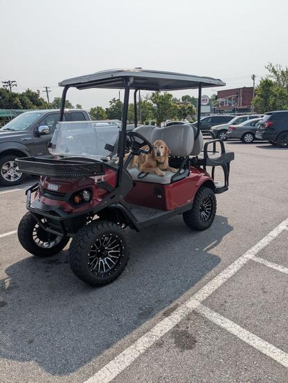 a yellow dog sits in a red golf cart.