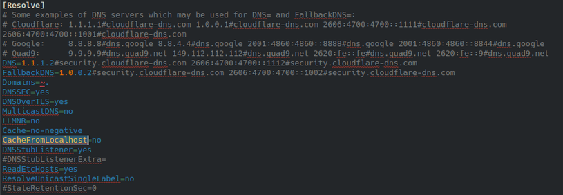 Screenshot of Systemd-Resolved (/etc/systemd/resolved.conf)
