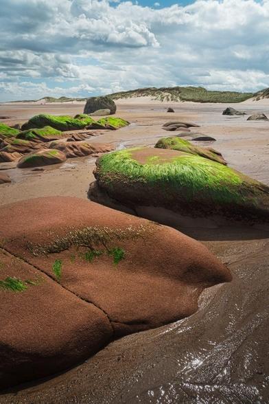 This image shows a sandy beach at Cheswick Sands in Northumberland, characterised by large reddish-brown rocks partially covered with bright green seaweed. The tide is out, revealing smooth, rounded rock formations scattered across the wet sand. In the background, there are low sand dunes topped with grass under a sky filled with a mix of fluffy white and slightly darker clouds, suggesting a changeable weather day. The scene evokes a sense of natural, rugged coastal beauty typical of this part of the UK.