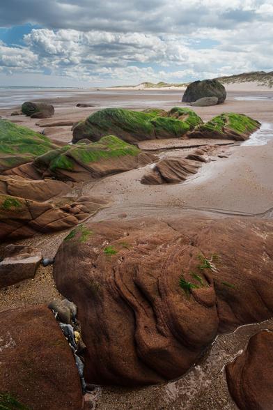 A tranquil scene at Cheswick Sands in Northumberland, featuring large, smooth reddish-brown rocks partially covered with vivid green seaweed. The rocks are scattered across the wet sandy beach, with shallow pools of water reflecting the cloudy sky above. In the distance, gentle sand dunes topped with grass stretch along the horizon under a sky filled with a mix of fluffy white and darker clouds, capturing the serene and rugged coastal landscape of this Northumbrian shore.