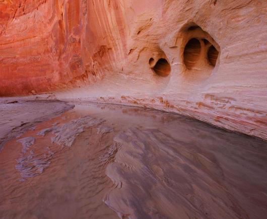 Erosion-sculpted alcoves loom in the rose-colored Navajo sandstone walls of Paria Canyon, while shallow, silty water reflects the undulating textures of the canyon floor. The scene is quiet and surreal, shaped by wind, water, and time.