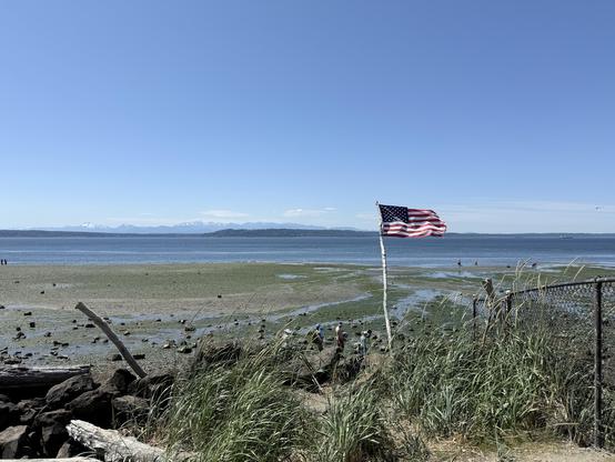 Record low tide in Puget Sound. Grasses and logs in the foreground with an American flag blowing in the wind. In the distance, the blue water with clear sky.