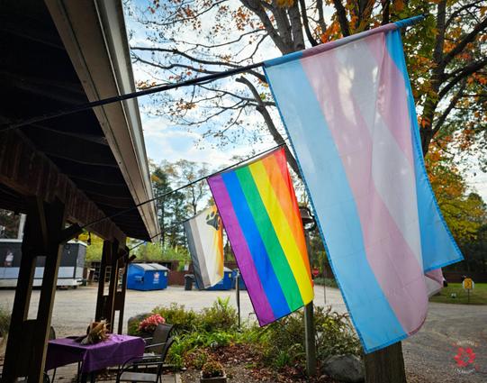 Photo of a Bear pride flag, LGBTQ pride flag, and a Trans pride flag.