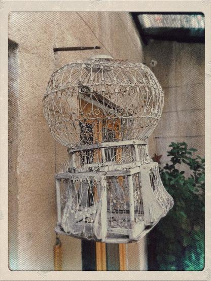 Cage à oiseaux (vide)