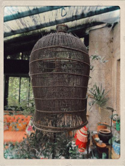 Cage à écrevisses