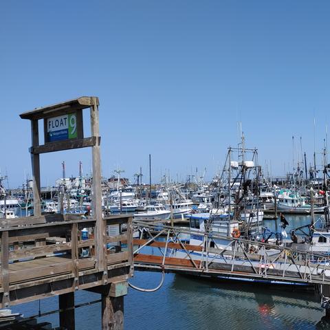 photo of fishing boats crowding float #9 at westport marina in westport washington. the entire marina appears jam packed with fishing boats of all sizes and varieties