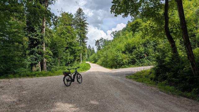 Photo of my eBike on a fire road under trees. The fire road goes continues up the hill. The clouds in the sky are starting to look like they mean it.