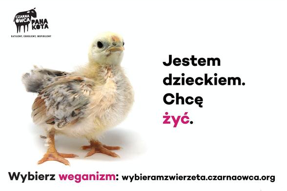 Mały pisklak kurczaka stoi na ziemi, obok napis Jestem dzieckiem. Chcę żyć.
Wybierz weganizm: http://wybieramzwierzeta.czarnaowca.org/