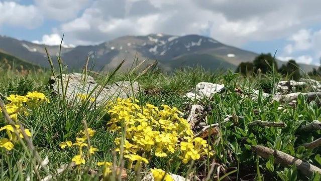 Temps més insegur i primaveral (Setcases, Joan Pérez)