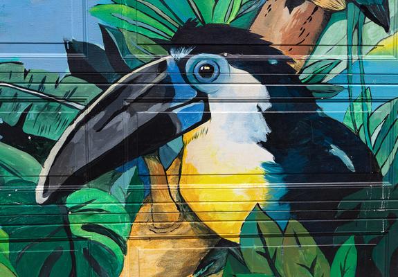 Mural with a toucan