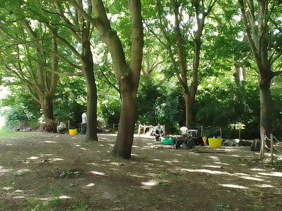 A distant glimpse of some of us in the green classroom area.