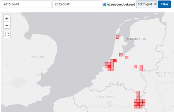 Kaartje met de waarnemingen van de Essenprachtblindwants sinds 4-6-2015. Afgebeeld is de kaart van Nederland met alle 10km hokken waarin deze gezien is, 27 vakjes lichtrood en 3 hokjes donkerrood. Vooral in het groene hart en Limburg.