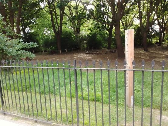 View from Martello Street of the Green Classrom area with some of the tidied up rope fences, plus the bee nesting post.
