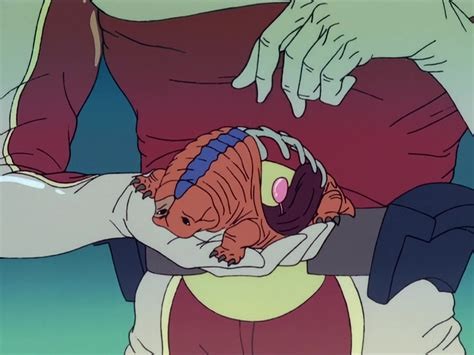 A figure is covered in maroon and white leather-like protective gear, with a belt strapping large rectangular pockets to their sides. They hold a living brown creature in their palm. Roughly football-shaped, the animal looks like a cross between an armadillo, stegosaurus, and turtle. The skin is like an old brown leather sack with a narrow blue stripe painted down the spine. The figure's other gloved hand has lifted the animal's back's skin up, revealing that the animal lacks organs. Instead, a spine was giving shape to the skin and the animal is hollow, though moving as if alive. A pink pill grows from a single nerve in the hollow space.