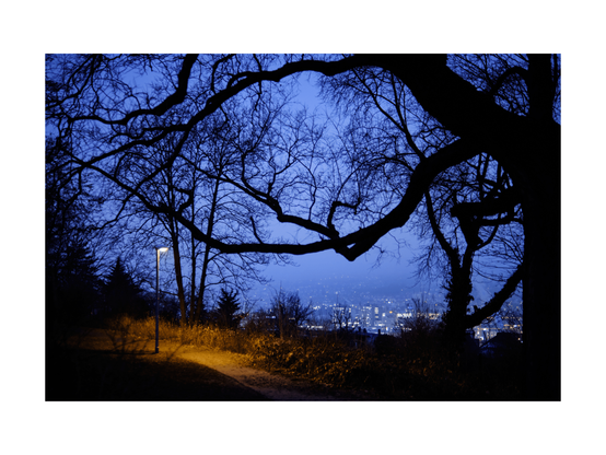 dark tree bathed in blue light, in the background a view of a city by night, leading through the picture is a dusty pathway with a yellowish light spot from streetlight