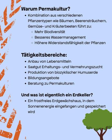 Hintergrund mattgrau, links die stilisierte Ähre in orange

Text: Warum Permakultur?
- Kombination aus verschiedenen Pflanzentypen wie Bäumen, Beerensträuchern, Gemüse- und Kräuterbeeten führt zu: 
--- Mehr Biodiversität
--- Besseres Wassermanagement
--- Höhere Widerstandsfähigkeit der Pflanzen

Tätigkeitsbereiche: 
- Anbau von Lebensmitteln
- Saatgut Erhaltungs- und Vermehrungszucht
- Produktion von biozyklischer Humuserde
- Bildungsangebote
- Beratung zu Permakulturen

Und was ist eigentlich ein Erdkeller?
- ein frostfreies Erdgewächshaus, in dem Sonnenenergie eingefangen und gespeichert wird.