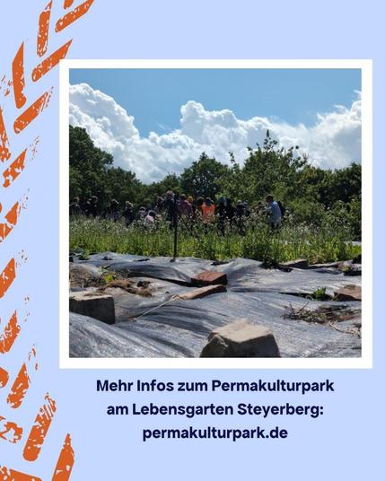 Hellgrauer Hintergrund, links die stilisierte Ähre in orange.

Die oberen 2/3 ein Foto mit Menschen im Hintergrund, im Vordergrund eine Folie, die mit Steinen beschwert ist. 

Darunter Text: Mehr Infos zum Permakulturpark am Lebensgarten Steyerberg: permakulturpark.de