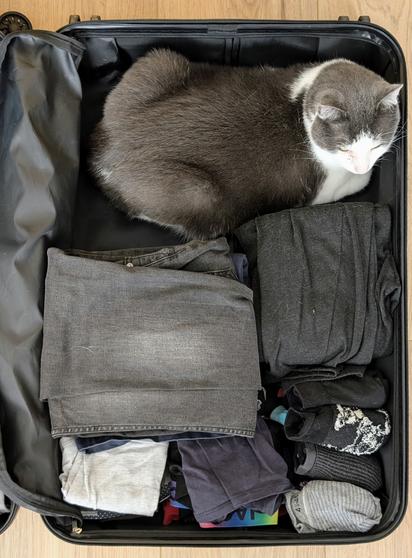A travel suitcase filled with clothing and a cat fitting perfectly in the empty space