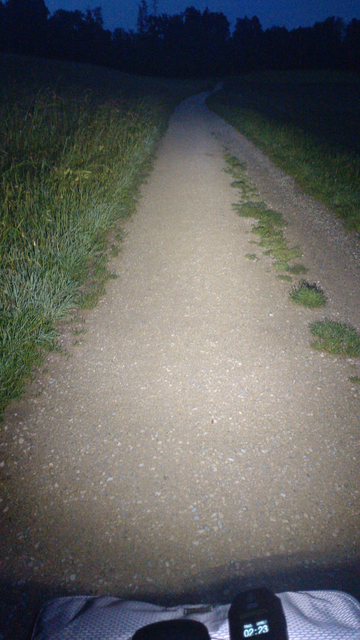 Blick aus Fahrerposition meines Brompton G-Line zur Blauen Stunde. Der Feldweg voraus und die Ränder der Wiesen links und rechts sind auf ca. 40m bis 50m sehr gut ausgeleuchtet. Rechts am Lenker sieht man leicht schräg montiert einen NiteCore BR35 Akkuscheinwerfer mit Display. Das Display zeigt an:

Modus: Trail
Helligkeit: Stufe 3 (von 4)
Verbleibende Laufzeit: 2h 23min