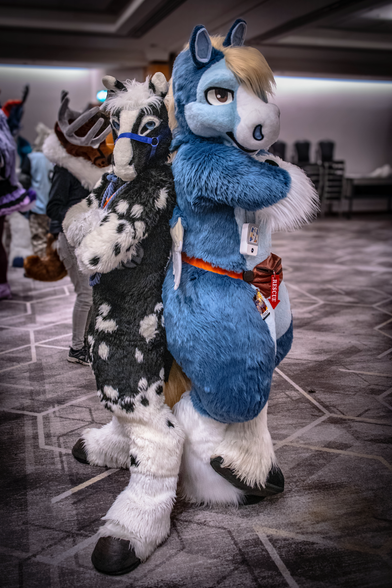 This is a photograph of two equine fursuiters standing back-to-back with arms crossed. On the left is a black and white hornless unicorn with a blue halter, on the right is a blue and white pegasus with a red and orange waist pack.