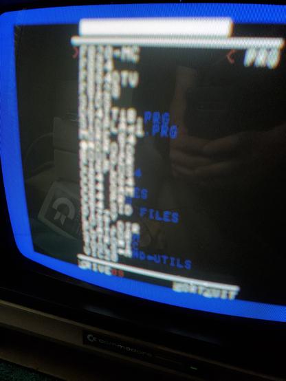 A blurry list of file names on a crt monitor. They are too blurry to read.