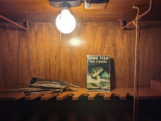 One of a series of photographs taken at a state park in Iowa that features a Frank Lloyd Wright-designed home.