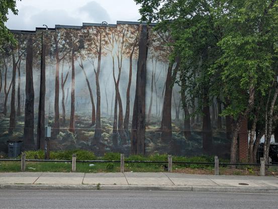 Murals of trees mixed with actual trees