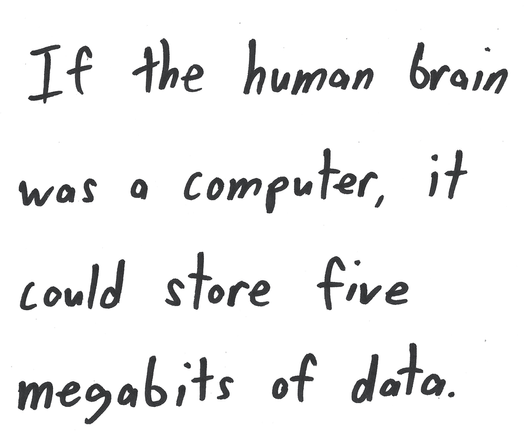 If the human brain
was a computer, it
could store five
megabits of data.