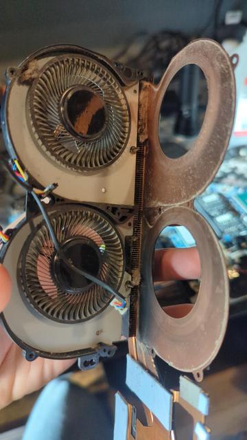 Disassembled dual fan section of the Oryx Pro 5 laptop. There are large chunks of dust partially clogging the radiator fins, restricting airflow substantially.