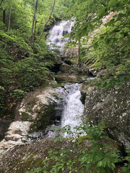Upper and lower waterfalls cascading down rocks in lush green forest