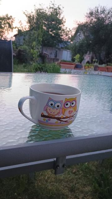 Kaffeetasse mit 2 Eulen, Bäume und Häuser im Hintergrund, Vordergrund scharf