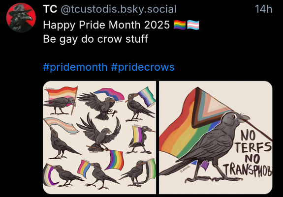 Screenshot of a post (need to be logged in) on BlueSky of user @tccustodis.bsky.social of their hand drawn crows with many different pride flags. The text is:

Happy Pride Month 2025 🏳️‍🌈🏳️‍⚧️
Be gay do crow stuff

#pridemonth #pridecrows