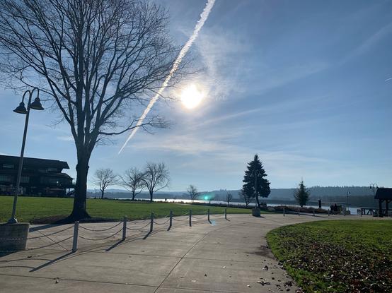 The sun, some thin clouds, a few trees and the Columbia River in background