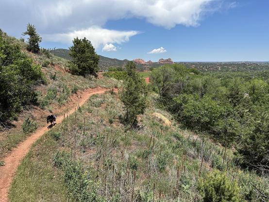 Landscape scene, with Garden of the Gods far off in the background, and hillside trail with a black and white dog on it in the foreground. Trail enters the scene from the lower left corner and leads toward center of the image.