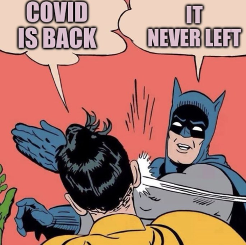 This image is a meme based on the popular "Batman slapping Robin" comic panel. In this version:

Robin is saying: "COVID IS BACK"

Batman is slapping Robin while responding: "IT NEVER LEFT"