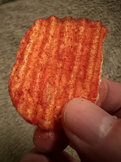A potato chip will perfectly laced seasoning.