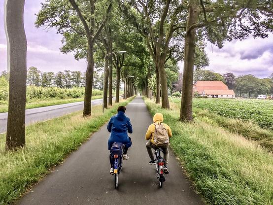 Foto: Dutch Cycling Embassy. Das Foto zeigt einen breiten Radweg neben einer Freilandstraße, links und rechts des Radwegs Bäume, zwei Radfahrende mit Regenausrüstung, bewölkter Himmel