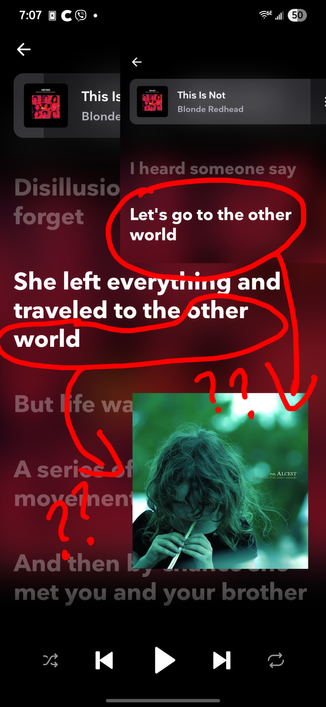 blonde redhead lyrics "She left everything and traveled to the other world" and "Let's go to the other world" sound like a reference to alcest lore and souvenirs d'un autre monde (tr. memories of another world) (Also, they're not)