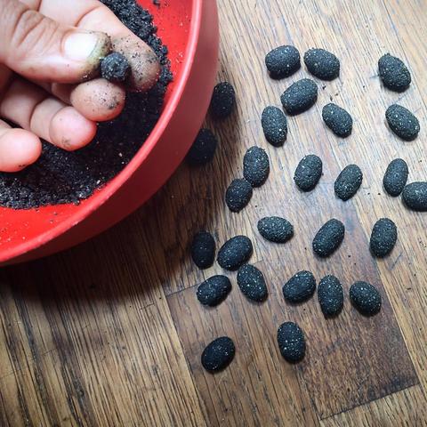Electuaris, un preparat d'herbes amb mel amb forma de comprimits