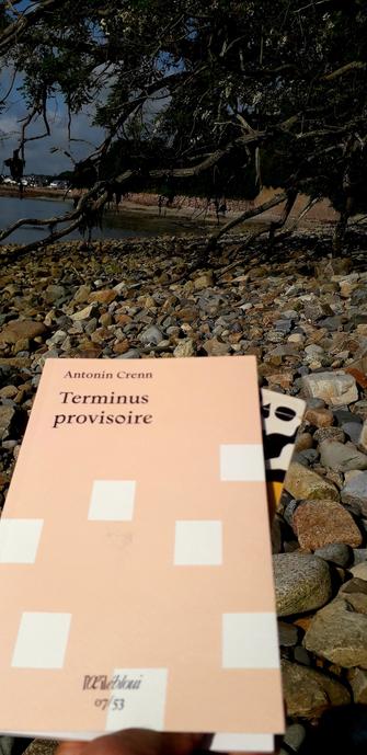 Couverture du livre d'Antonin Crenn, "Terminus provisoire" , n0 7 d'la collection Perec 53 aux éditions L'Oeil ébloui. 
Photo prise sur une grève au bord de la mer en Bretagne Nord sous les robiniers. 
Et il fait rudement beau nom de Dieu!