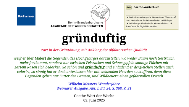 gründuftig

zart in der Grüntönung, mit Anklang der olfaktorischen Qualität

weiß er [der Maler] die Gegenden des Hochgebirges darzustellen, wo weder Baum noch Gesträuch mehr fortkommt, sondern nur zwischen Felszacken und Schneegipfeln sonnige Flächen mit zartem Rasen sich bedecken. So schön und gründuftig und einladend er dergleichen Stellen auch colorirt, so sinnig hat er doch unterlassen hier mit weidenden Heerden zu staffiren, denn diese Gegenden geben nur Futter den Gemsen, und Wildheuern einen gefahrvollen Erwerb

Wilhelm Meisters Wanderjahre
Weimarer Ausgabe, Abt. I, Bd. 24, S. 368, Z. 21 

Goethe-Wort der Woche
02. Juni 2025