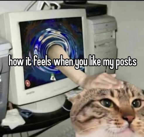 a hand magically coming out of a monitor to pet a cat, captioned "how it feels when you like my posts"
