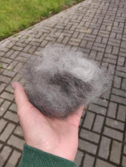 Meine Hand hält ein großes graues Fellbüschel in die Kamera