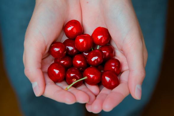 A pair of cupped hands gently holds a bunch of fresh, glossy red cherries. The background is softly blurred, drawing attention to the vibrant color and smooth texture of the fruit nestled in the hands.