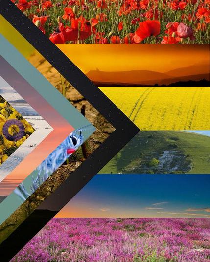 The Progress Pride flag made using photo images of different landscapes, wildflowers and species found in the South Downs National Park