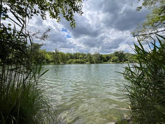 Foto: Radio Corax. Zu sehen ist ein Ausblick auf den Weiher mitten im Naturschutzgebiet Lobau, im Osten von Wien.