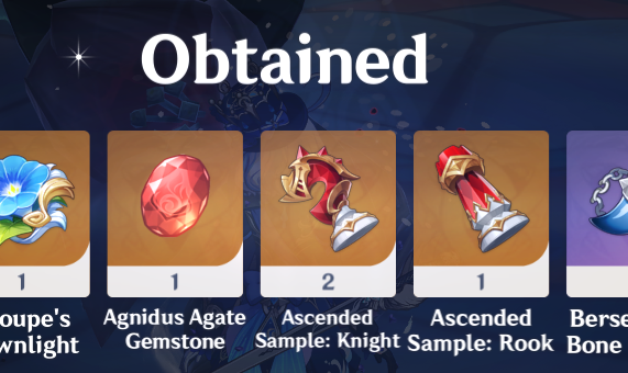 3 boss mats and a gemstone.