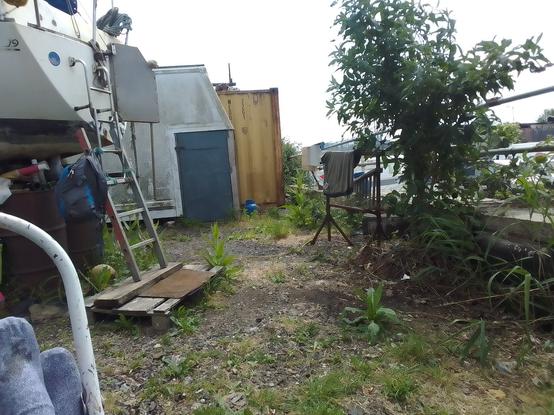 View between the stern of the boat and the retaining wall, a patch of the boatyard with teasels, grasses, buddlea all doing their very best to thrive.