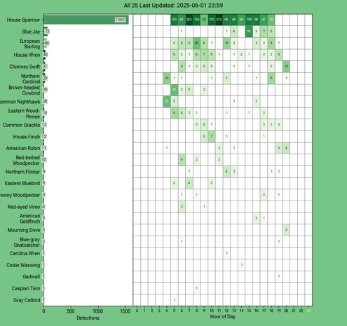 Chart generated by BirdNET-Pi with rows of all detected birds for Sunday, June 01, 2025 in decending order.  The first large column displays a bar chart of relative frequency; the 24 reamaining columns create cells with the bird count for each hour of the day shaded by relative count.